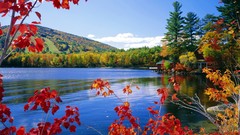 Landscapes nature lakes