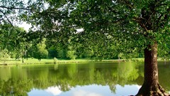 Landscapes nature lakes