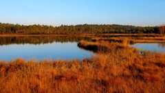 Landscapes nature lakes