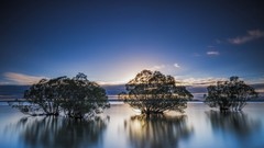 Landscapes nature lakes