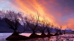 Landscapes nature lakes