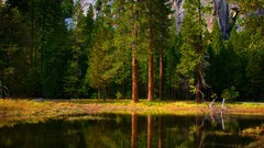 Landscapes nature lakes forests