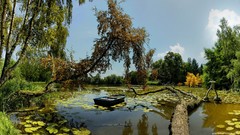 Landscapes nature lakes forests