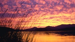 Landscapes nature lakes idaho