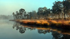 Landscapes nature lakes mist
