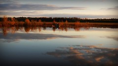 Landscapes nature lakes reflections