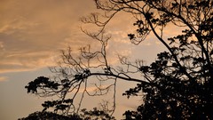 Landscapes nature land