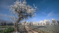 Landscapes nature land