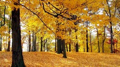 Landscapes nature land