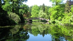 Landscapes nature land