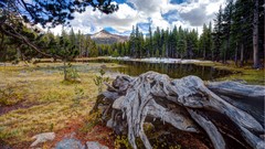 Landscapes nature land