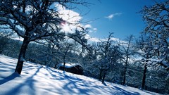 Landscapes nature land