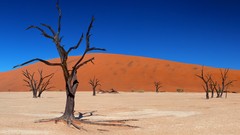 Landscapes nature land