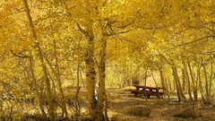 Landscapes nature land