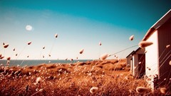 Landscapes nature land