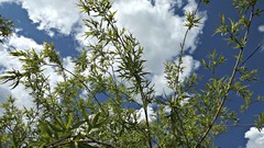 Landscapes nature land