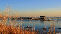 Landscapes nature land