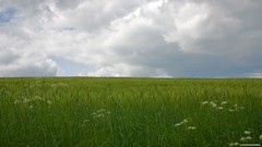 Landscapes nature land