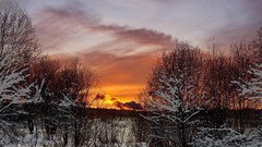 Landscapes nature land