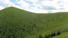 Landscapes nature land