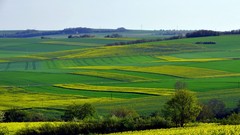 Landscapes nature land