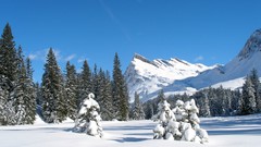 Landscapes nature land