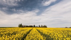 Landscapes nature land