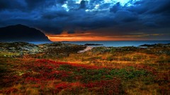 Landscapes nature land