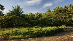 Landscapes nature land