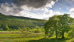 Landscapes nature land