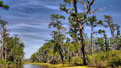 Landscapes nature land