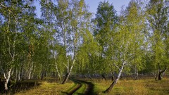 Landscapes nature land