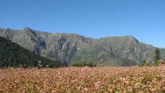 Landscapes nature land