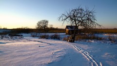 Landscapes nature land