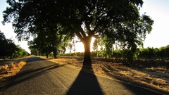 Landscapes nature land