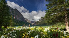 Landscapes nature land