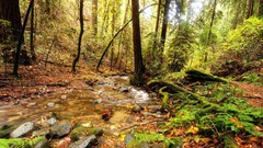 Landscapes nature land