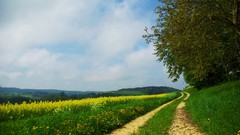 Landscapes nature land fields