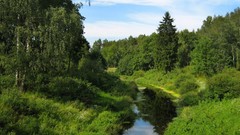 Landscapes nature land forests