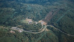 Landscapes nature land forests flora