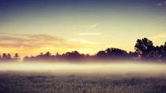 Landscapes nature land mist