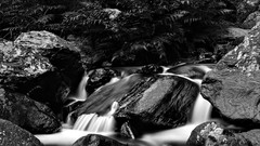 Landscapes nature land monochrome waterscapes