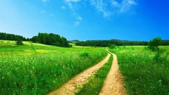 Landscapes nature land roads fields forests