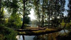 Landscapes nature light fountain Parks