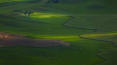 Landscapes nature light Washington fields rivers hint