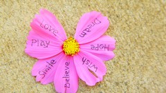 Landscapes nature line