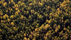 Landscapes nature lithuania Baltic states unseen lithuania