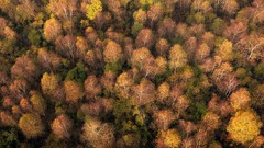 Landscapes nature lithuania Baltic states unseen lithuania