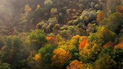 Landscapes nature lithuania Baltic states unseen lithuania