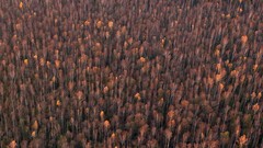 Landscapes nature lithuania Baltic states unseen lithuania